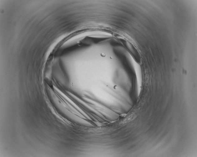 X0000078251128200611251257