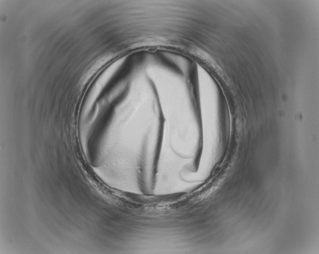 X0000078251129200611251257