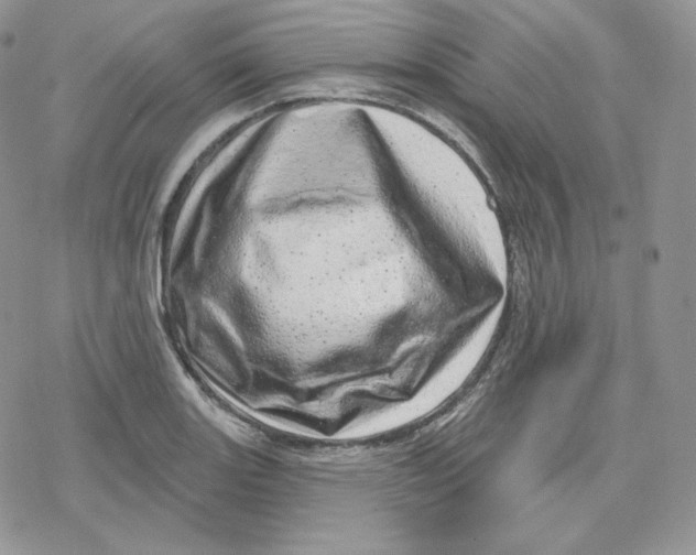 X0000078251131200611251257
