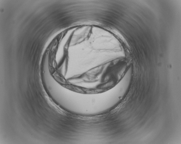 X0000078251132200611251257