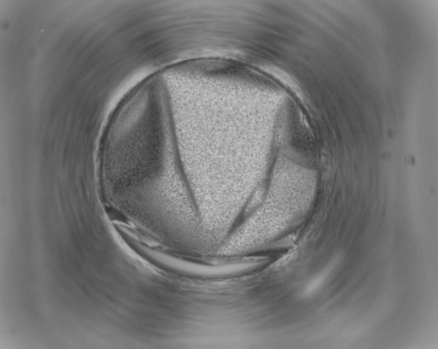X0000078251135200611251257