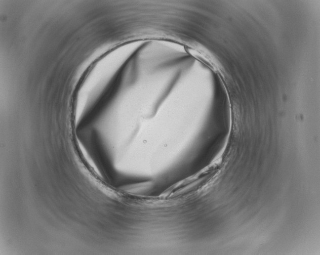 X0000078251142200611251257