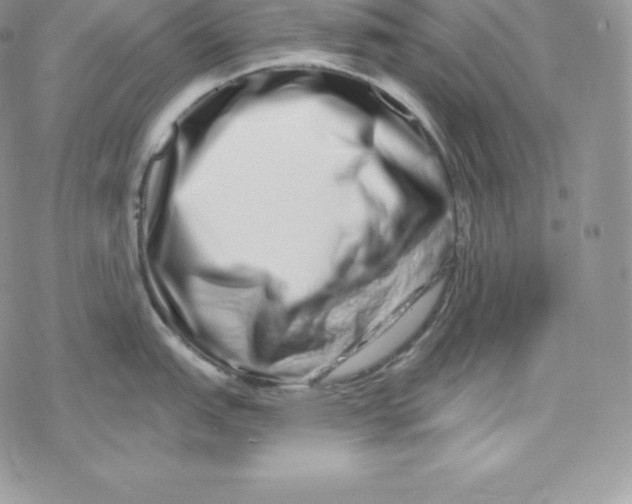 X0000078251151200611251257