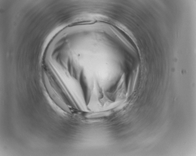 X0000078251152200611251257