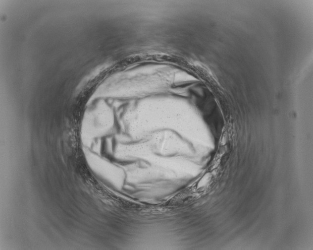 X0000078251159200611251256