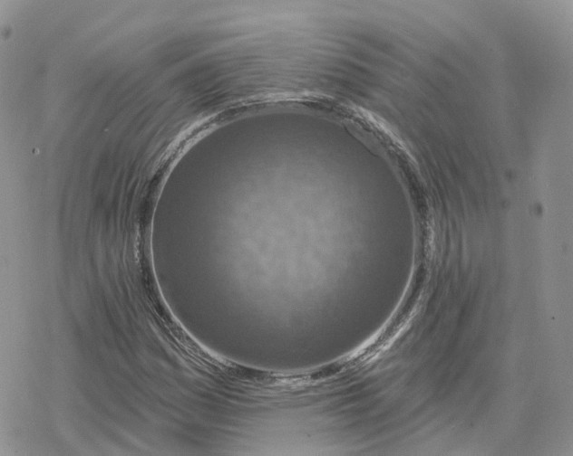 X0000078251161200611251256