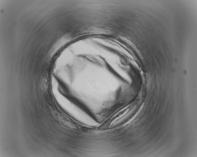 X0000078251163200611251256