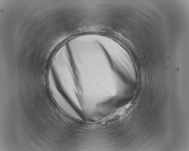 X0000078251166200611251256