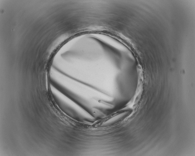 X0000078251171200611251256
