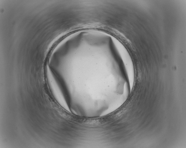 X0000078251174200611251256