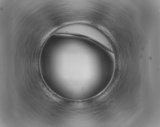 X0000078251177200611251256