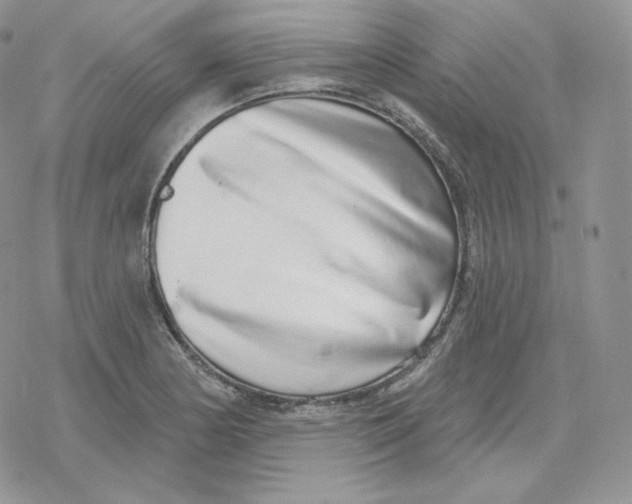 X0000078251178200611251256