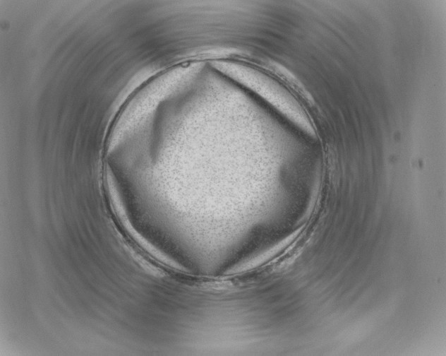 X0000078251186200611251256