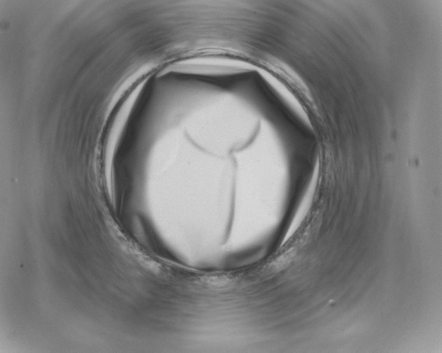 X0000078251190200611251256