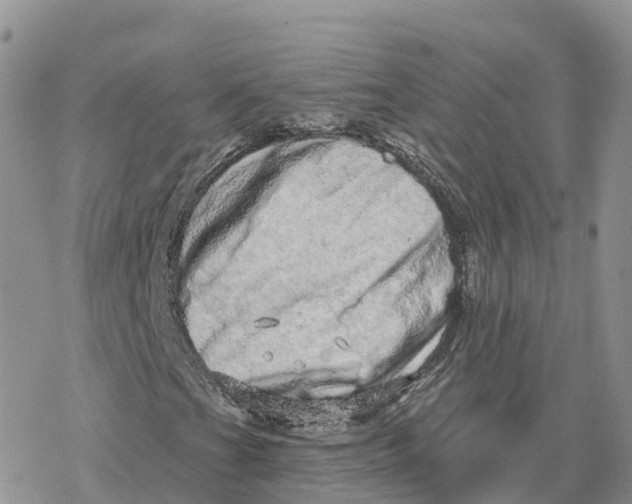 X0000078251201200611251255
