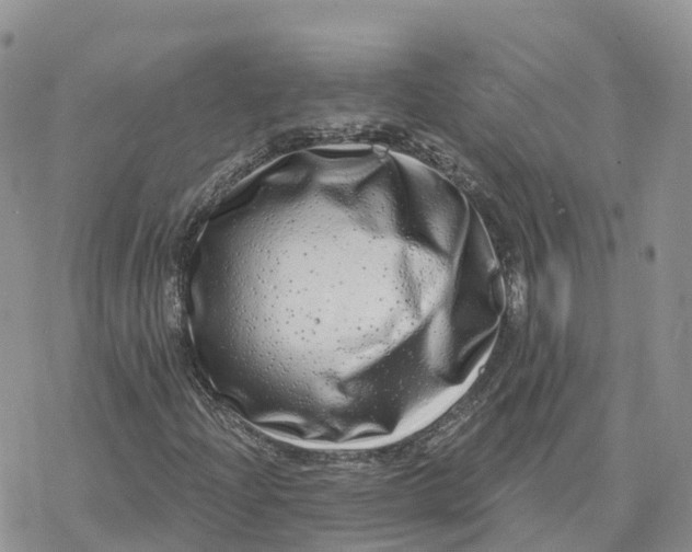 X0000078251204200611251255
