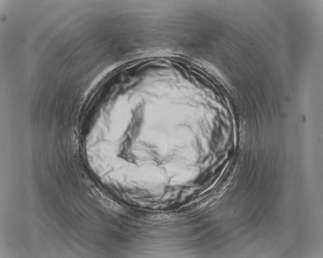 X0000078251212200611251255
