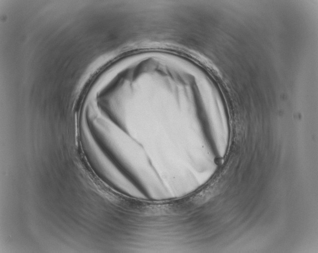 X0000078251223200611251255