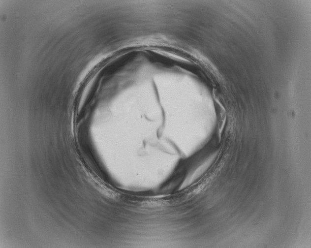 X0000078251224200611251255