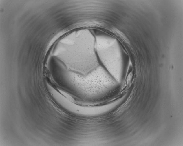 X0000078251226200611251255