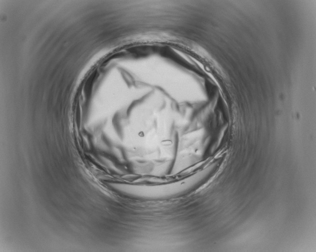 X0000078251232200611251255