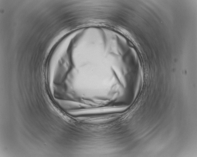 X0000078251235200611251255