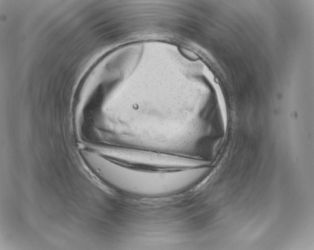X0000078251236200611251255