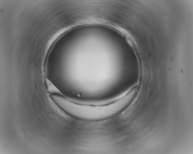 X0000078251238200611251255