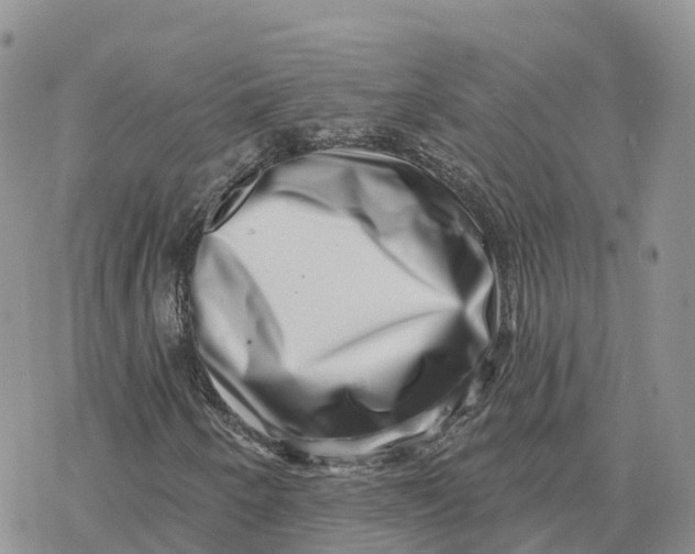 X0000078251250200611251255