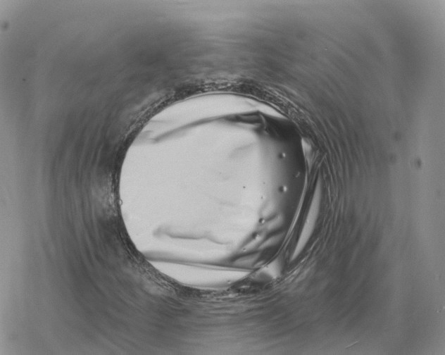 X0000078251252200611251255