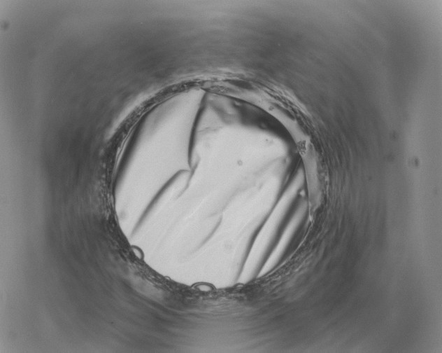 X0000078251256200611251255