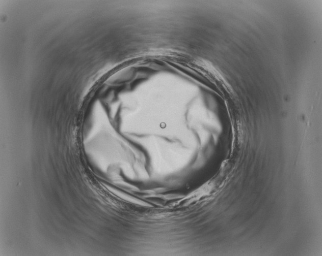 X0000078251260200611251255