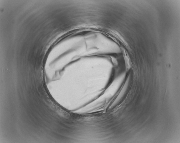 X0000078251268200611251255