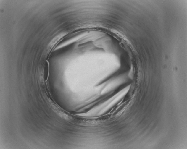 X0000078251273200611251254