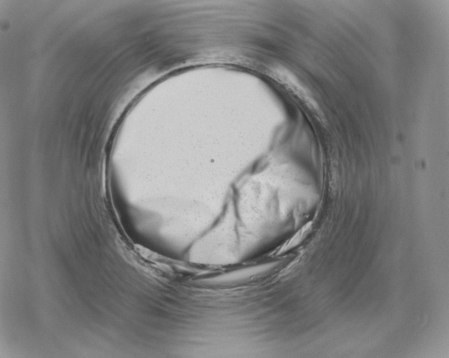 X0000078251276200611251254
