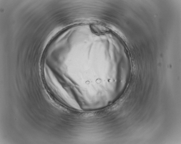 X0000078251283200611251254
