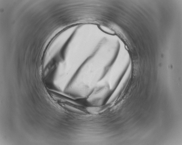 X0000078251284200611251254