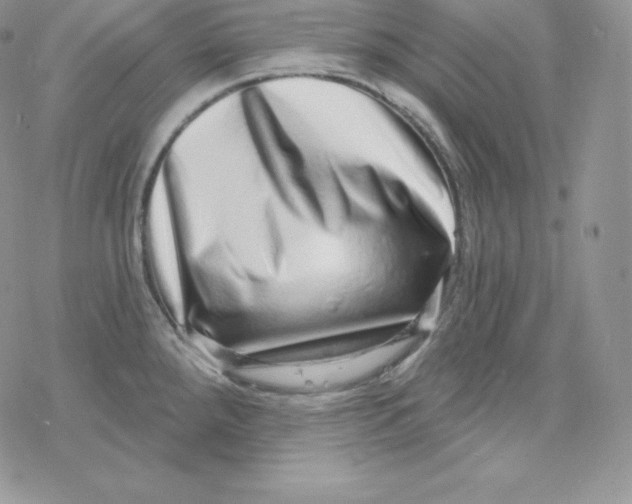 X0000078251288200611251254