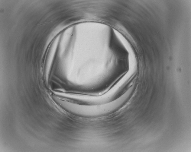 X0000078251292200611251254