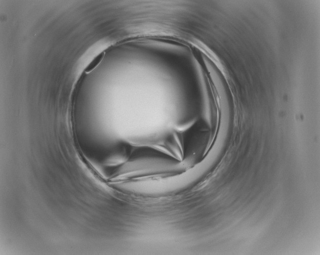 X0000078251293200611251254