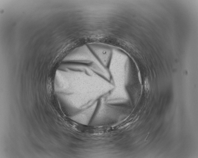 X0000078251299200611251253