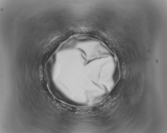 X0000078251301200611251253