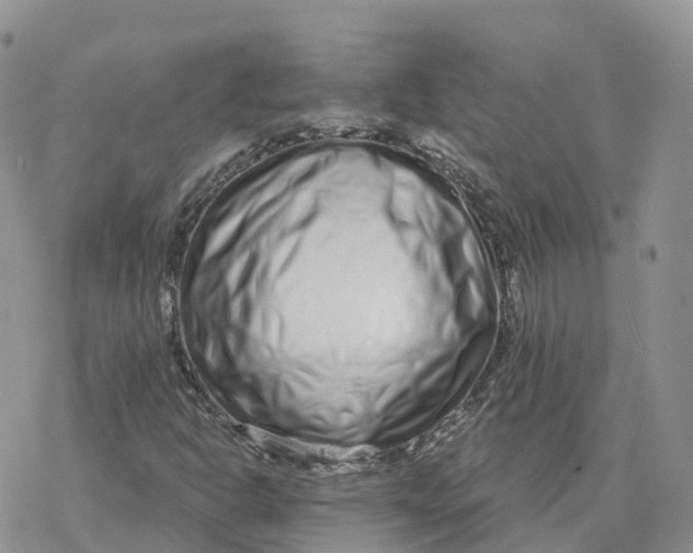 X0000078251302200611251253