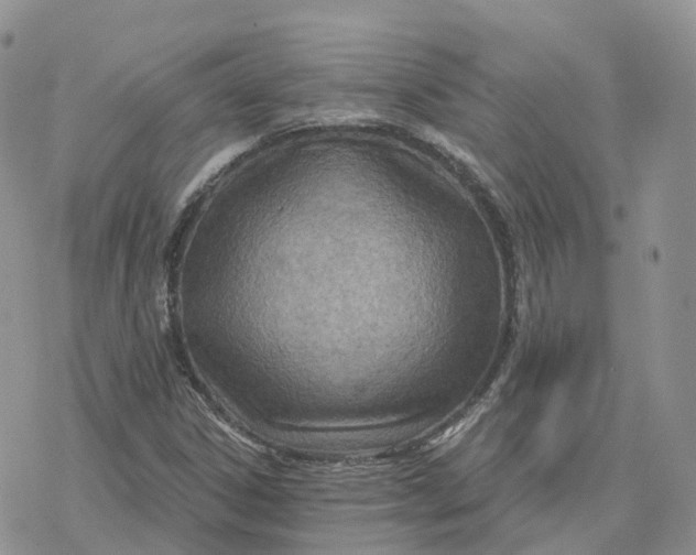 X0000078251306200611251253