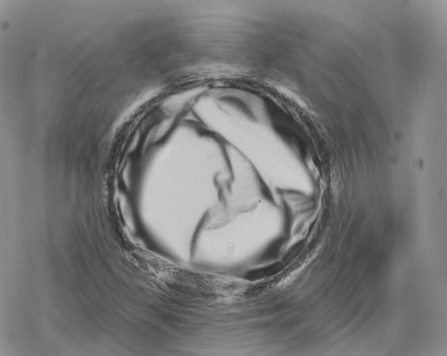 X0000078251309200611251254