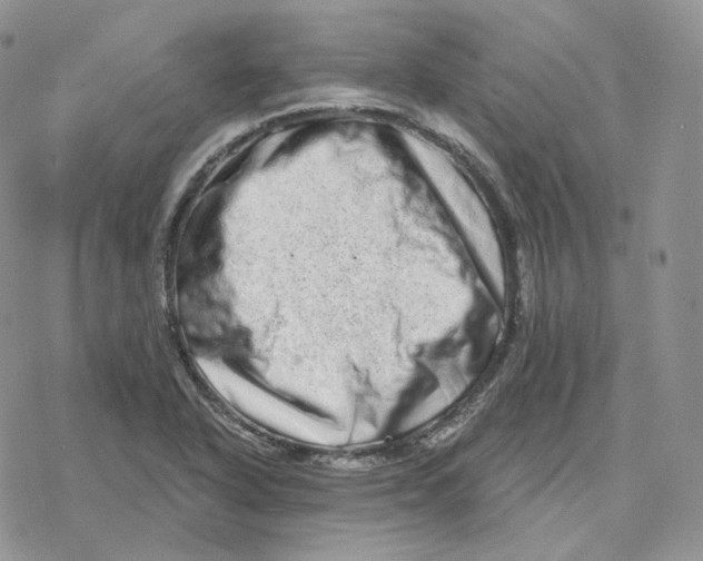 X0000078251318200611251254
