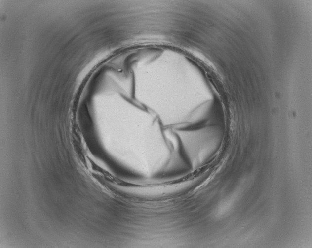 X0000078251325200611251254