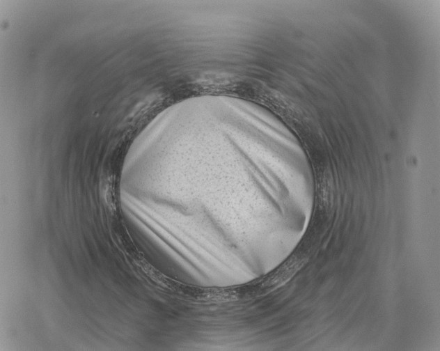 X0000078251346200611251253