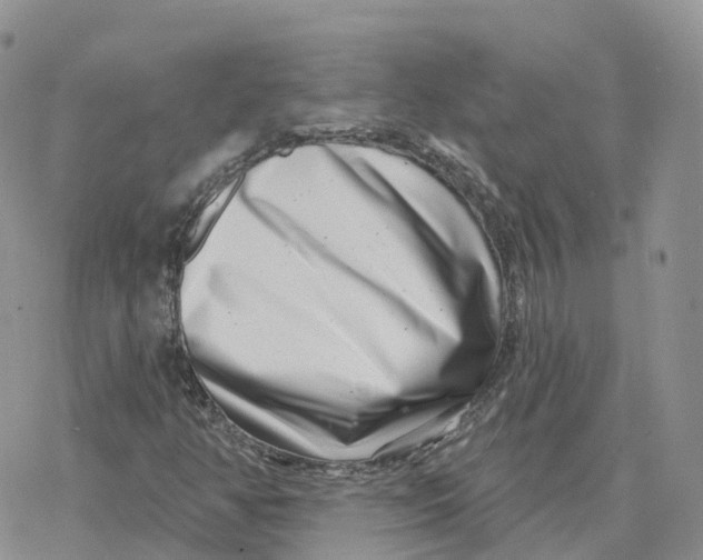X0000078251350200611251253
