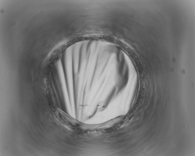 X0000078251351200611251253